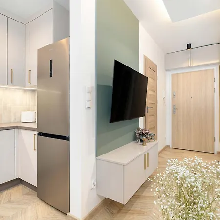Modern With Terrace In Center By Renters 公寓 波兹南